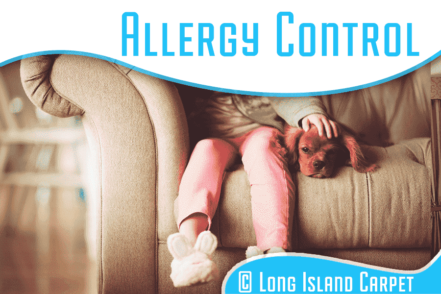 Allergy Control Treatment
